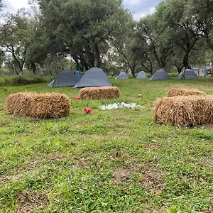Cika's Camping Campo de lujo Borsh